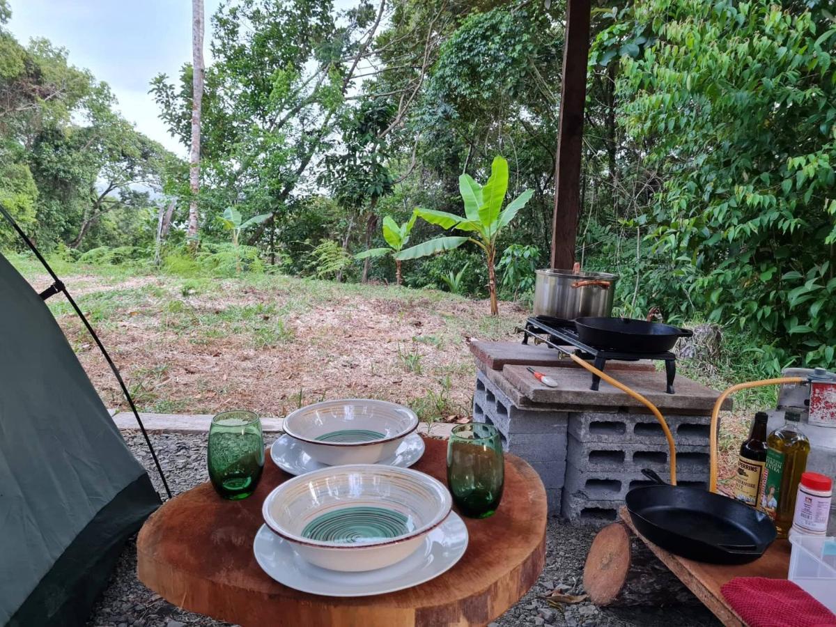 Jungle Eco Reserve Hotel Colon Exterior photo