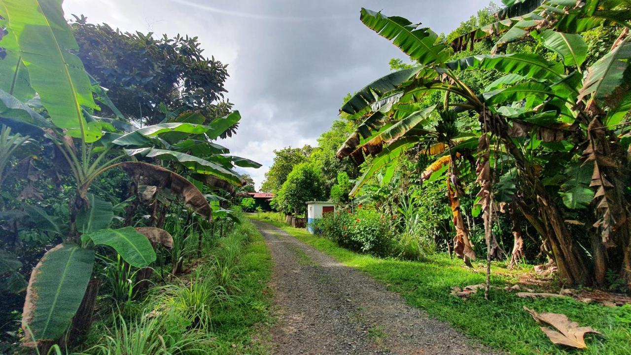 Jungle Eco Reserve Hotel Colon Exterior photo