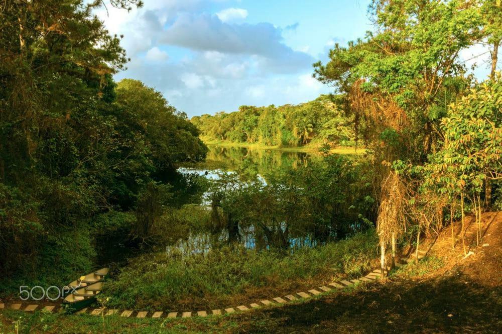 Jungle Eco Reserve Hotel Colon Exterior photo