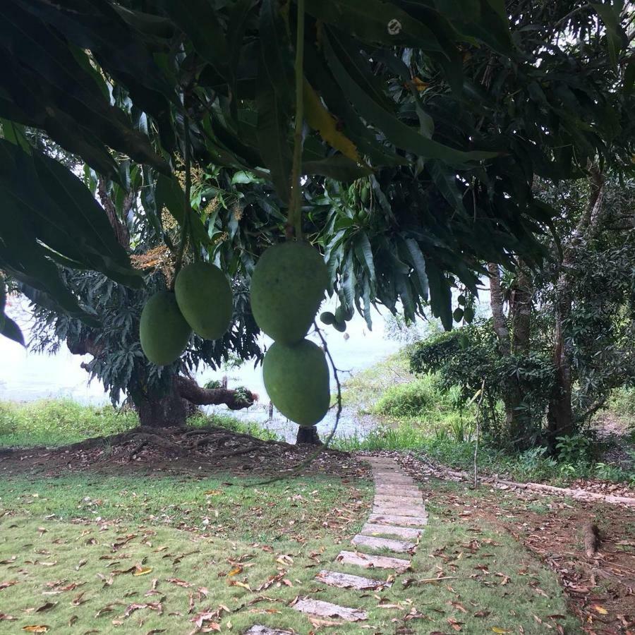 Jungle Eco Reserve Hotel Colon Exterior photo