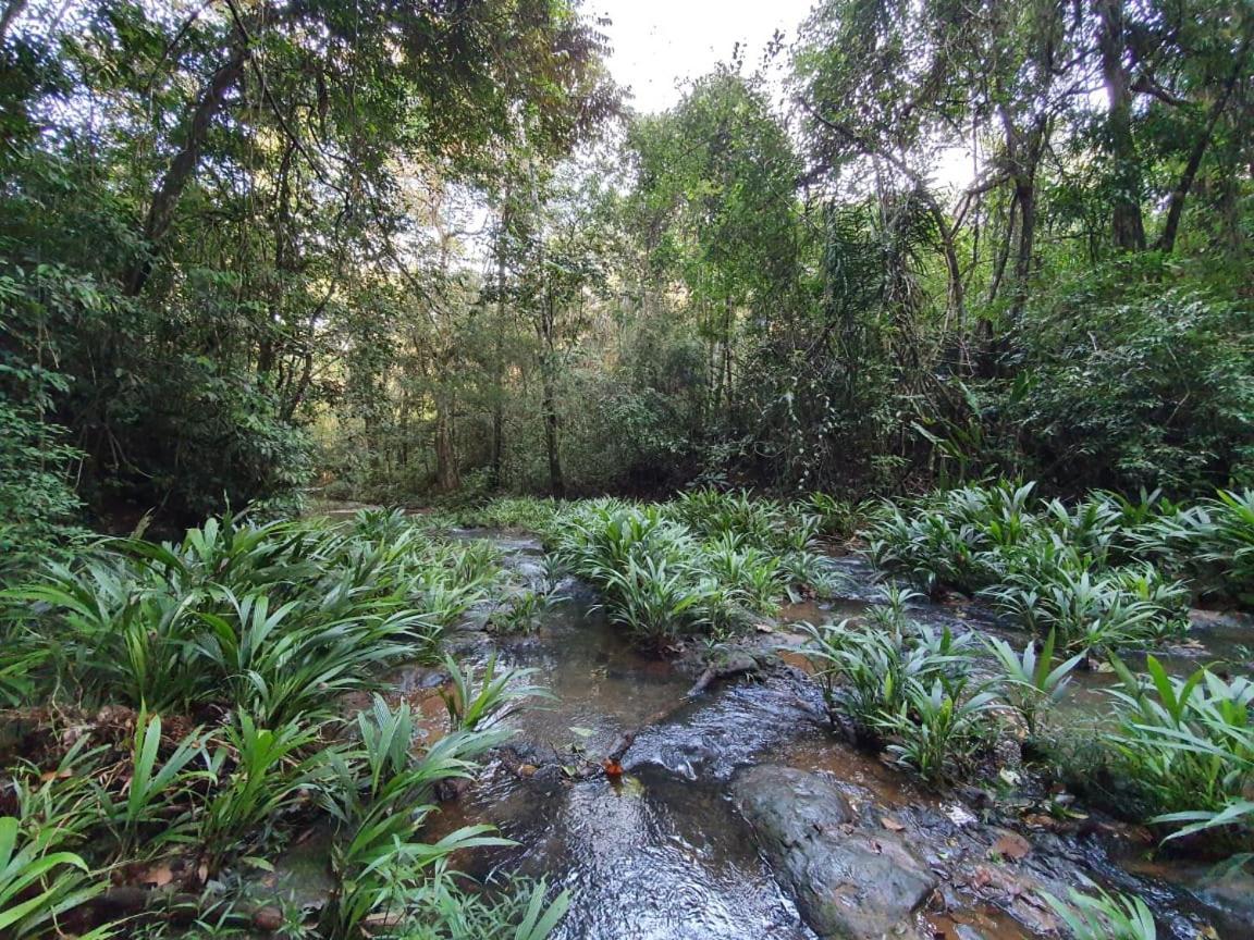 Jungle Eco Reserve Hotel Colon Exterior photo